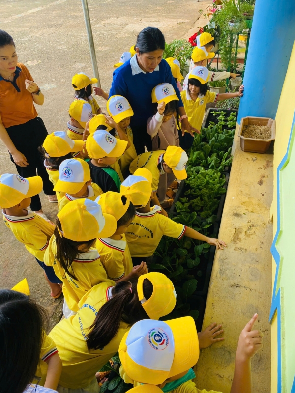 HOẠT ĐỘNG TRẢI NGHIỆM “TRỒNG RAU” CỦA CÁC BÉ LỚP 5-6 TUỔI – TRƯỜNG MẪU GIÁO TÂN THANH