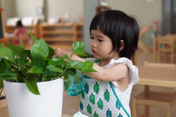 Phương pháp giáo dục Montessori có thể thay đổi cuộc sống của con bạn như thế nào?